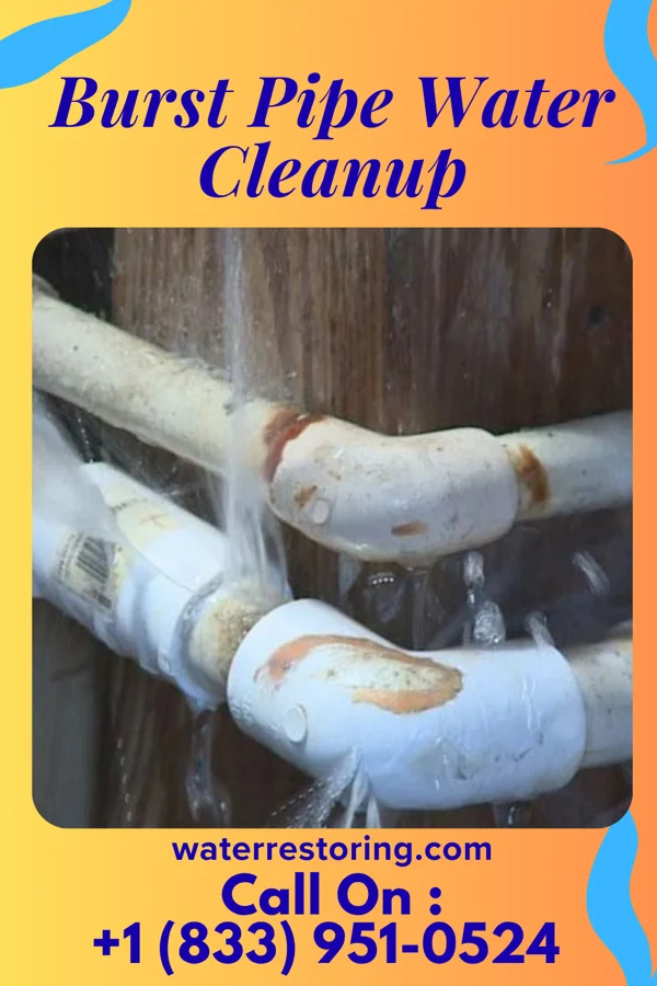 Burst Pipe Water Cleanup in Birch Bay, WA