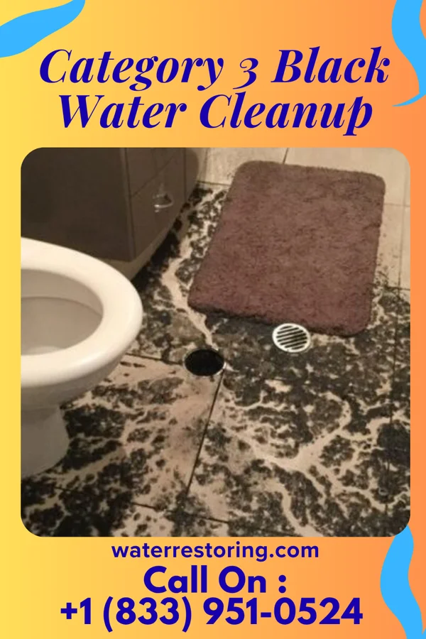 Category 3 Black Water Cleanup in Birch Bay, WA